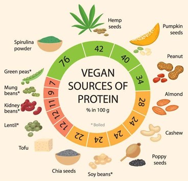 Vegan Source of Protein