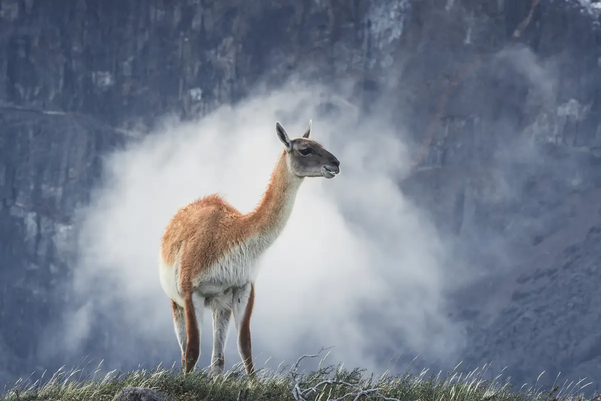 3 błędy w fakturach unijnych, które kosztują Cię 12% marży
